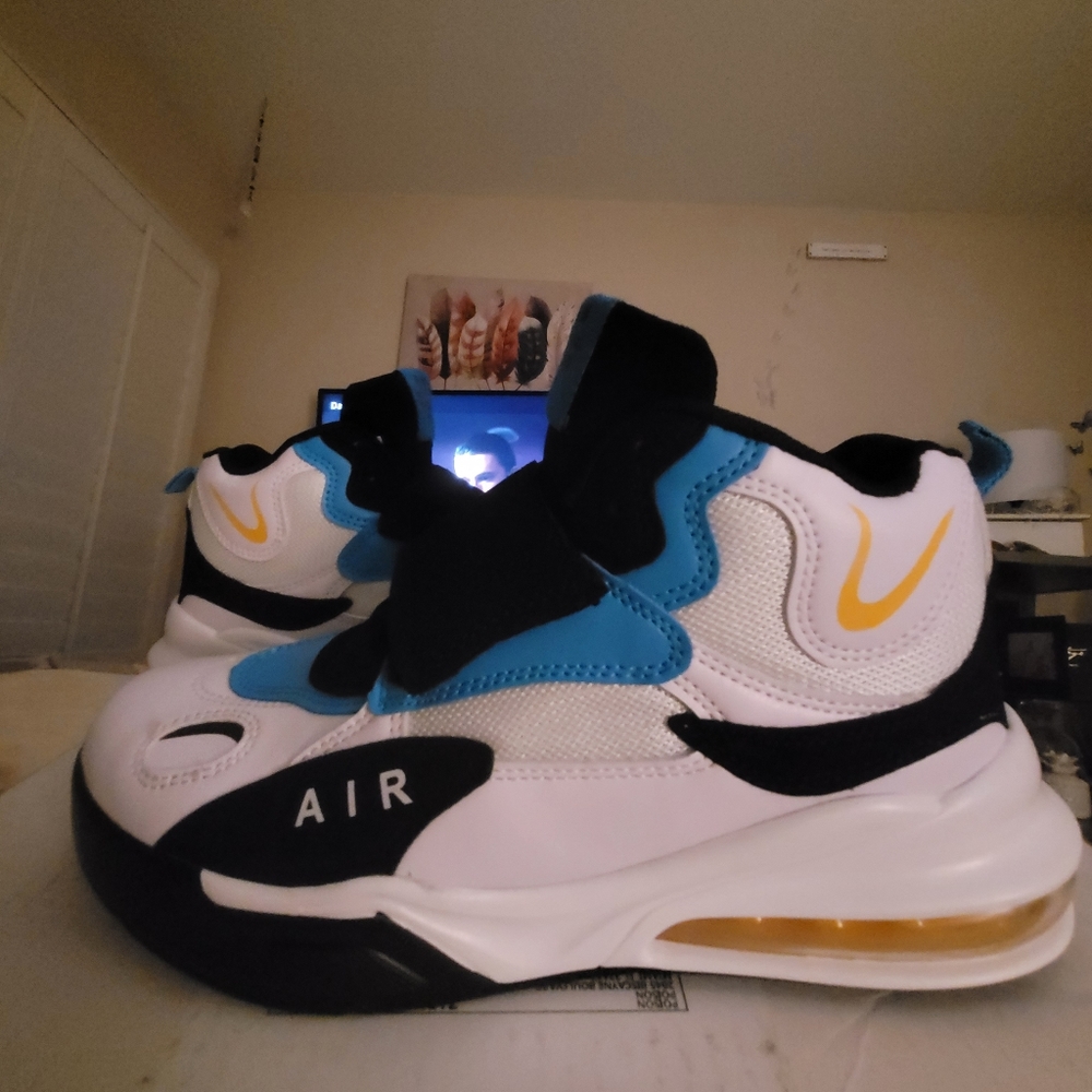 Air Professional skate sneakers